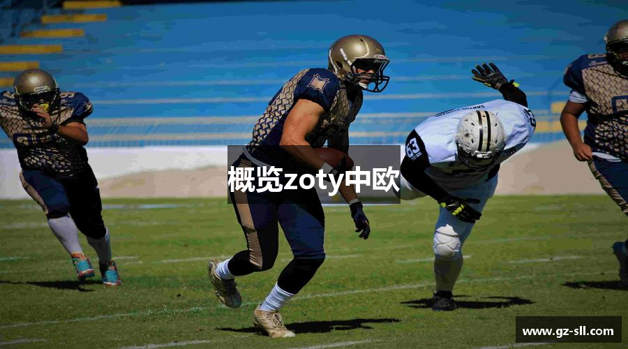 概览zoty中欧